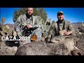 Caza de jabali 2021🔥|New Mexico Javelina hunting|🐗🤛