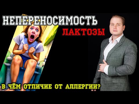 Доктор Кравцев: Почему у вас непереносимость лактозы, когда пить молоко? В чём отличие от аллергии?