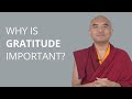 Why Is Gratitude Important? with Yongey Mingyur Rinpoche