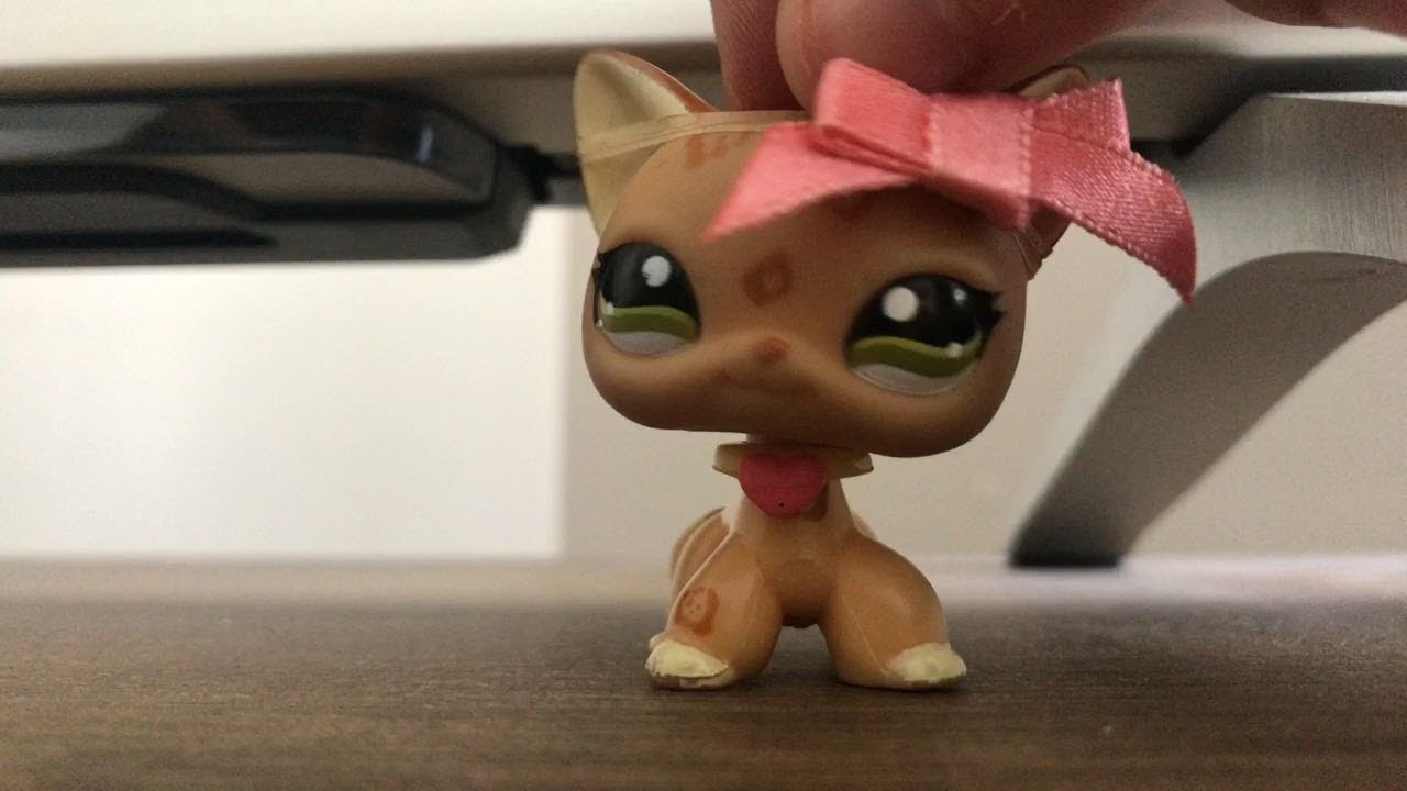 I’m going to the LPS meetup hosted by LPSBoomBox