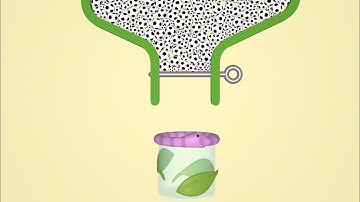 Pull The Pin - Puzzle Game All Levels Gameplay For Android, iOS Mobile Part: 27