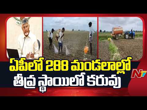 AP Govt : 21 జిల్లాల్లో 388 కరువు మండలాలను గుర్తించిన ప్రభుత్వం | CM Chandrababu | NTV Telugu