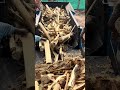 Wood debarking styles working part 216 #viral #woodworking#wood #shorts