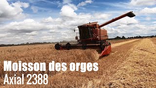 Orges d'hiver, ce n’est vraiment pas la joie…😔