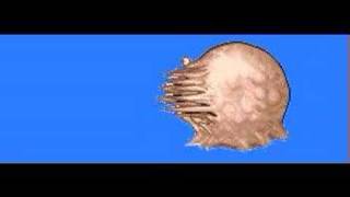 Gaara Animated