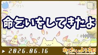 #命乞い自己アピールコンテスト【#Vtuber ねこたいようネロ】