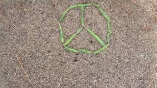 Against evil on top of the anthill