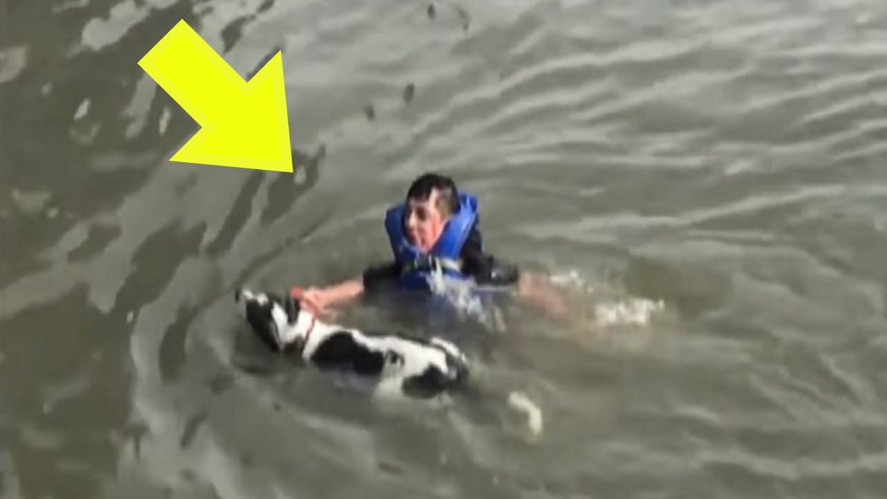 Boy Rescues Strange Dog from River, Regrets It Two Days Later – Then ...