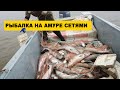 ПРОМЫСЛОВАЯ РЫБАЛКА СЕТЯМИ НА АМУРЕ. ЛОСОСЬ. Рыбалка на Амуре