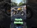 Honda Mono ¿Que les parece? #motovlog #honda #hondamonkey #dji