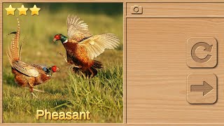 On The Farm( Pheasant ) Puzzle || Jigsaw Puzzle | Animal Puzzles for Kids Game 'Fun Game' with Voice screenshot 5