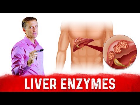 High Liver Enzymes: What Do They Mean?