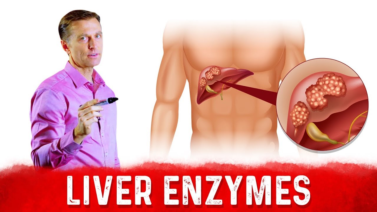 High Liver Enzymes ALT AST What Do They Mean Dr Berg YouTube