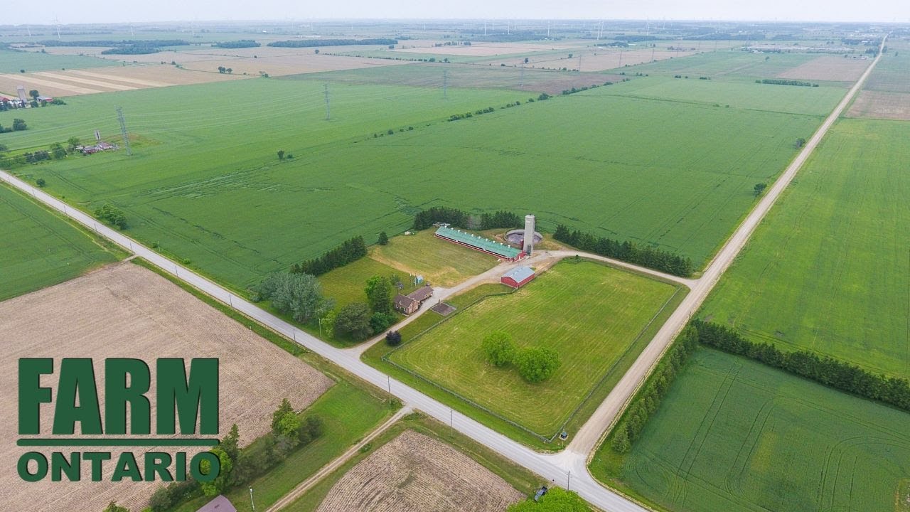 36382 Dungannon Rd, Dungannon/84945 Lucknow Line, Lucknow Farms For