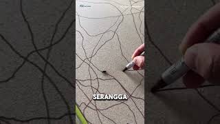 Lukisan Serangga Harga 1 Juta Dollar 😱