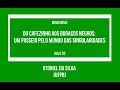 Otoniel da Silva (UFPB) - Um passeio pelo mundo das singularidades - Aula 03