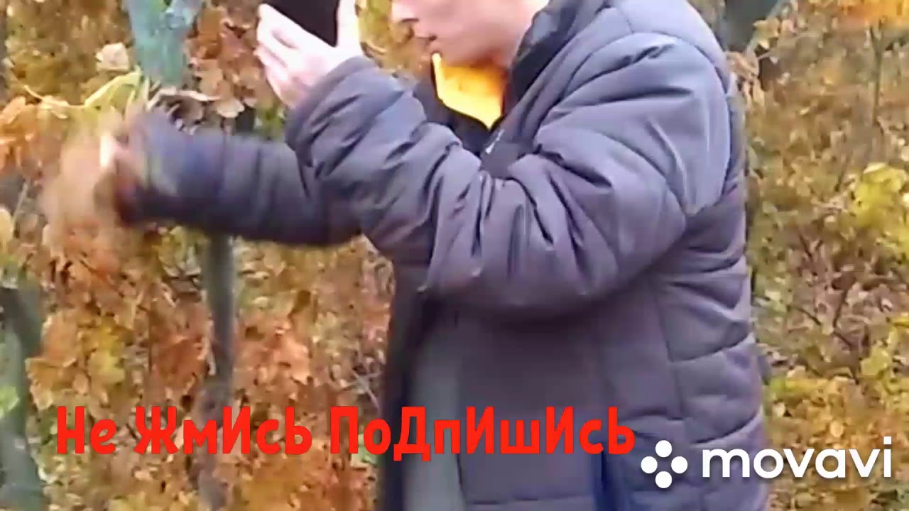 Без машины никак