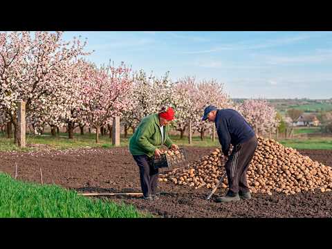 The simple life of an elderly couple in a Ukrainian village