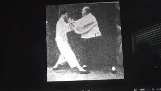 Tai Chi Fajin: Physics not magic. My file explained with Ai.