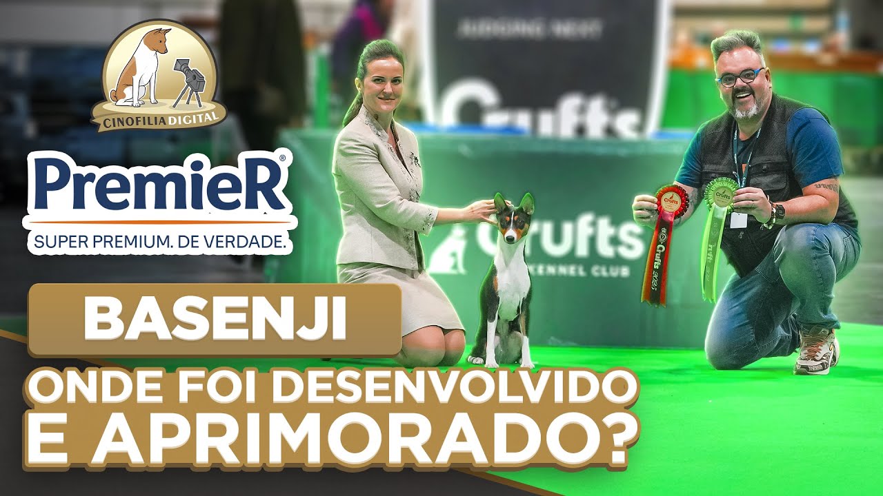 Basenji em Crufts 2025 | Vitória Histórica do Brasil na Maior Exposição Canina | Cinofilia Digital