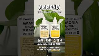 Fish Testing Basics For Beginners Learn Ammonia, Nitrite, Nitrate, And Ph