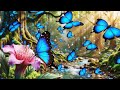 Firefly Magical Forest with beautiful butterflies  638277