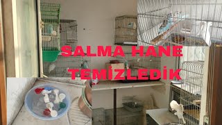 Muhabbet kuşu hobi hane temizledik yavrulara baktık..👌🐦☺️