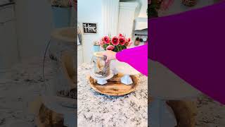 Valentines kitchen vignette 🩷 Check out my latest decorate with me video! #valentines #cottagestyle