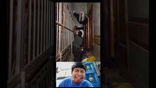 Ada yang ngilu tapi bukan gigi 🤣 #ngilu #lucu