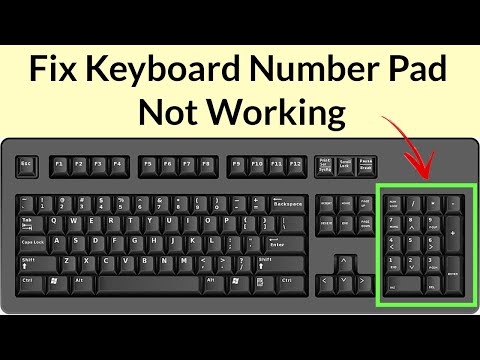 How to Fix Keyboard Number Pad Not Working In Windows 10 by Smart Enough