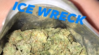 Stoner Song - PDIZZY