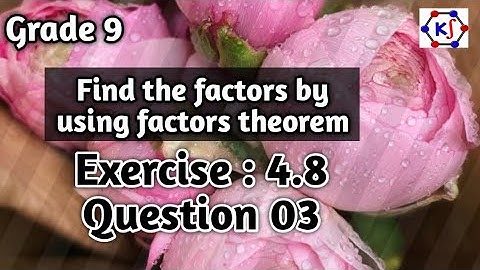 Find the factors by using factors theorem || Exercise : 4.8 || Question 03 ||Model paper ||Grade 9