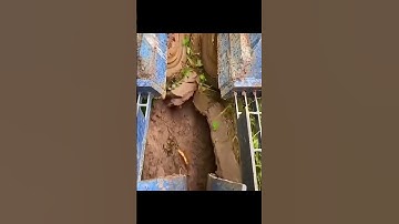 #machine #coldmilling #factorymachine #cnc #industrialmachine #amazingmachinery #machinerychannel