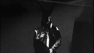 Playboi Carti - MUSIC [Ultimate Version]