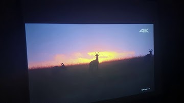 UC46 nishica projector video showing how to connect HDMI WITH SETTOP BOX and live demo