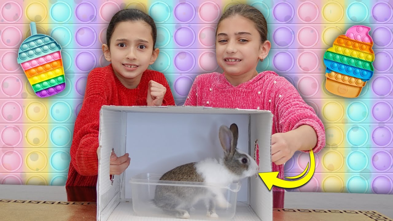 ماذا يوجد داخل الصندوق ؟! 😰 تحدي خطير والفائز أخذ البوب إت  Pop it 💠