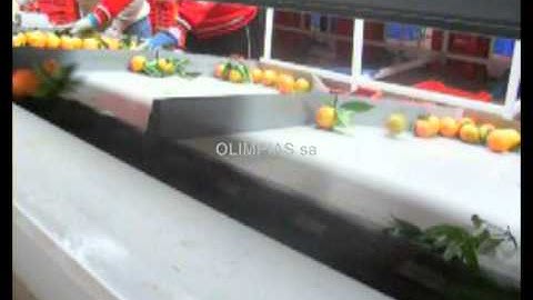 Γραμμή διαλογής-ταξινόμησης για μανταρίνια.Sizing-grading-packaging lines for mandarin.gr