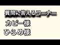【質問に答えるコーナー】スズキZZ不調//ビートクラッチ不調