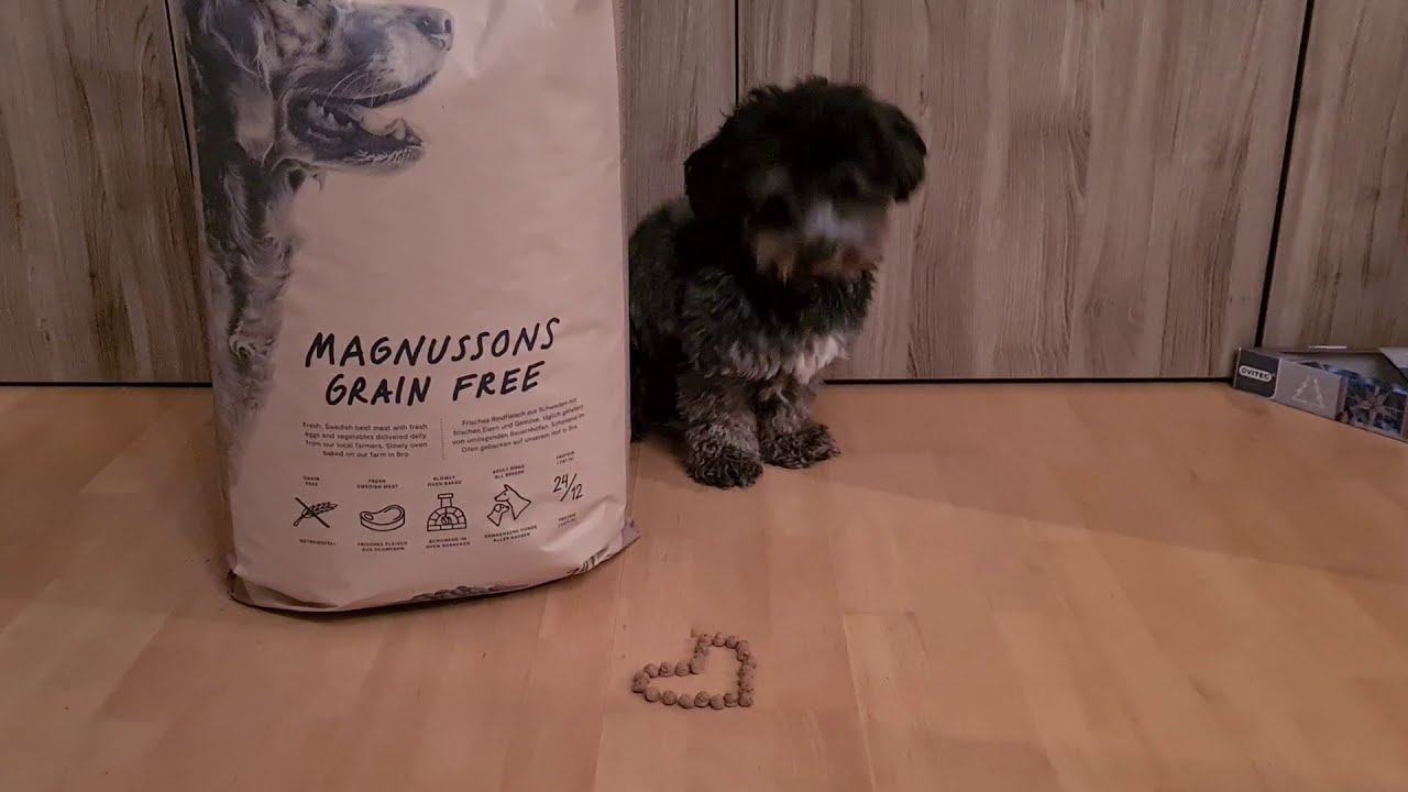 Magnusson Hundefutter Test | edogs Magazin