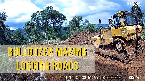 Bulldozer Making Logging Roads For Plantation