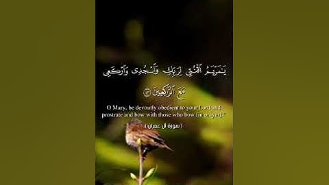 سورة آل عمران من 41 الى 45