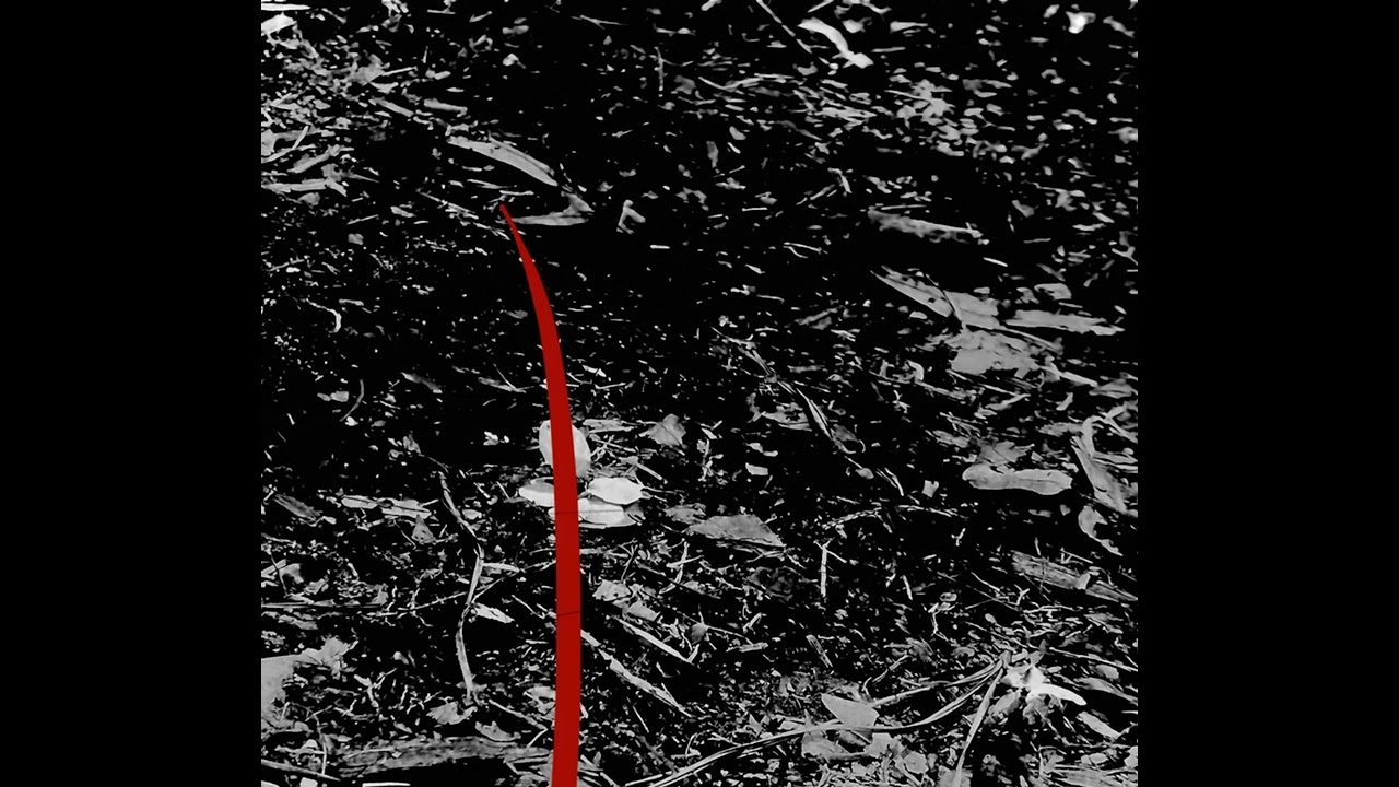 Devo0 - Toxic(feat. 1 lixk)