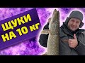 Крупные щуки на 10 кг! Жерлицы на Вуоксе. Рыбалка в Ленинградской области
