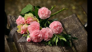 LT&C 3: Ôn về từ chỉ đặc điểm. Ôn tập câu Ai thế nào ?