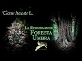 I giganti della Foresta Umbra