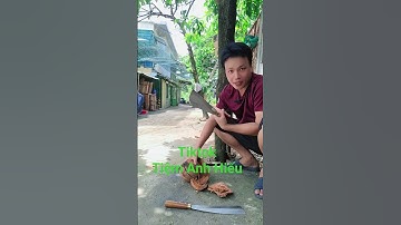 Dao thép không gỉ , bén lắm . 1 con 119k #tiemanhhieu #tiktok