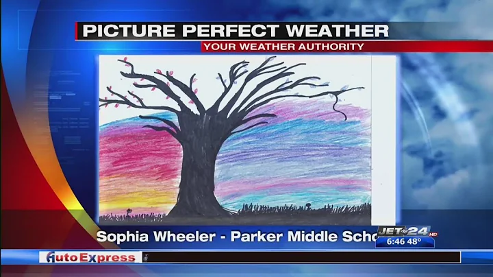 Picture Perfect Weather- Sophia Wheeler