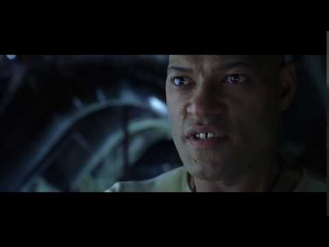 [MEM #1.] Matrix - He's Beginning To Believe