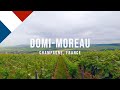  best champagne tasting tour in champagne france  domimoreau 4k