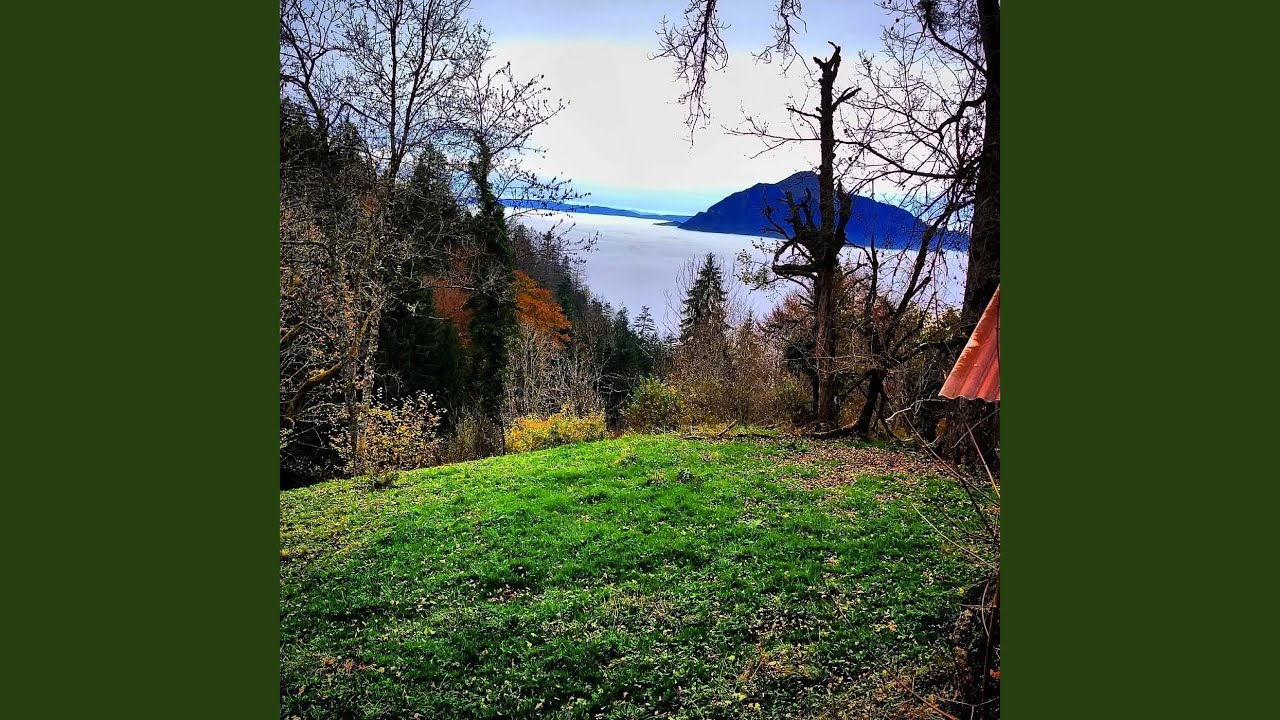 ça sent l'sapin pis l'herbe coupée